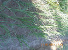 DSCN3148