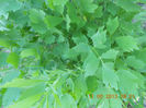 DSCN3172
