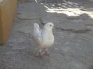 Picture 010