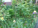 DSC05499