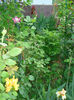 DSC05502