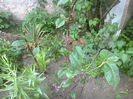 02052013376