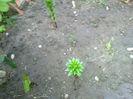 02052013377