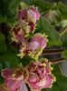 DSCN0750