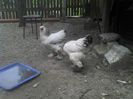 2013-05-12_13-37-20_6