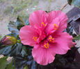 DSC03859
