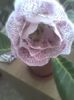 Imag0366