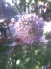 Imag0356