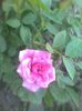 Imag0359