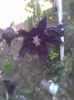 Imag0360