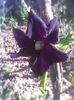 Imag0337