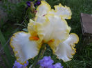 DSCN3053