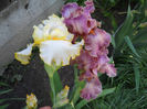 DSCN3064