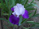 DSCN3067