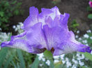 DSCN3087