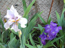 DSCN3071