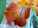 DSCN3074