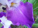 DSCN3086