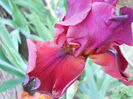 DSCN3076