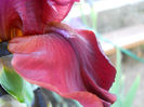 DSCN3077