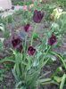 IMG_20130425_171727