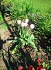 IMG_20130425_171554