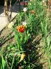 IMG_20130425_171623