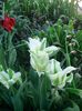 IMG_20130425_171741