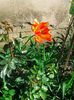 IMG_20130425_171806