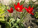IMG_20130430_103715