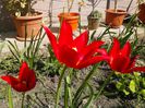 IMG_20130430_103719