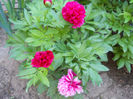 DSCN3103