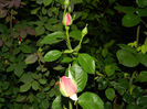 DSCN8647