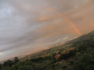 DSCN6972