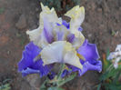 DSCN4569