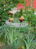 DSCN4575