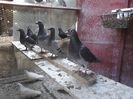 P24-04-11_18-17[1]