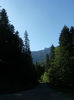 DSCF7677