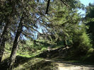 DSCF7678