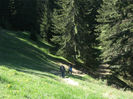 DSCF7682