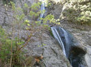 DSCF7688