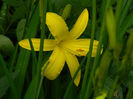 DSCN8597