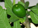 DSCN8677