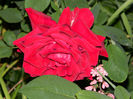 DSCN8680