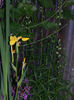 DSCN8688
