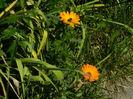 DSCN8705