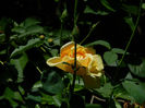 DSCN8712