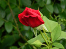 DSCN8758