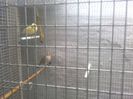 Photo0039