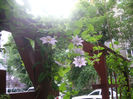 SANY0137